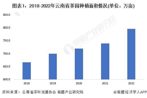 2028年中国各省茶叶行业市场规模及现状分析AG真人九游会登录网址【前瞻分析】2023-(图4)